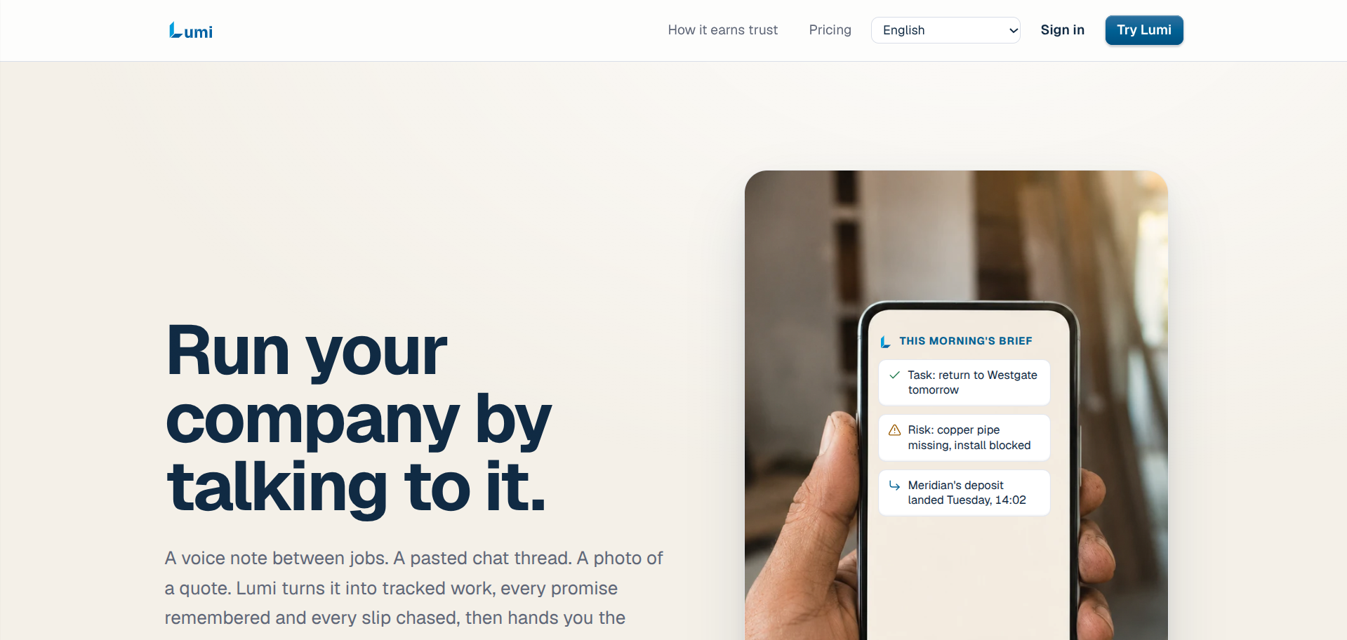 Screenshot of the Lumi website
